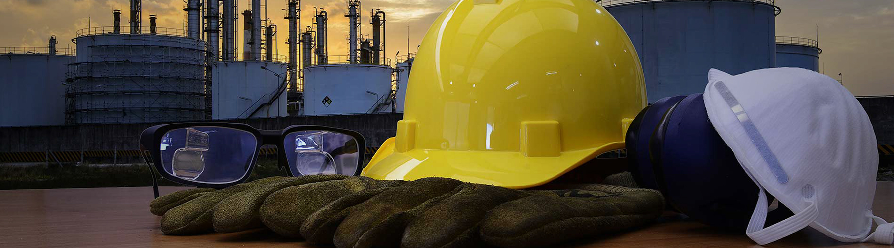 Hazard Identification Studies